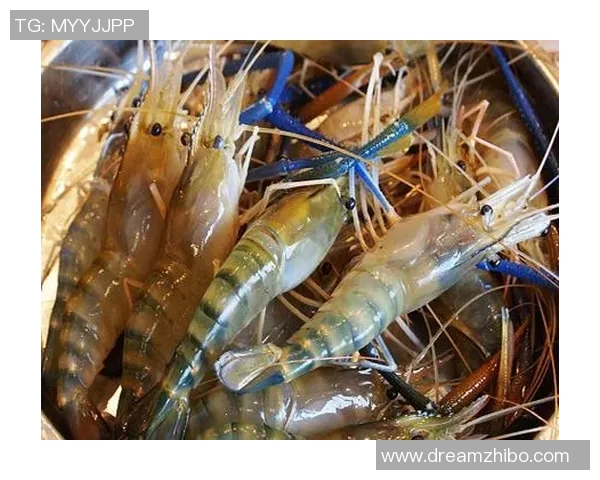 pg电子麻将胡了技巧-PG电子麻将胡牌技巧概览-pg电子麻将胡了技巧